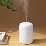 Latower™ - Portable 300ml Electric Air Humidifier + USB Cool Mist Sprayer with Colorful Night Light