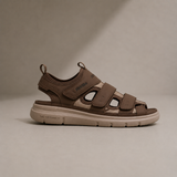 COASTLINE WALKER